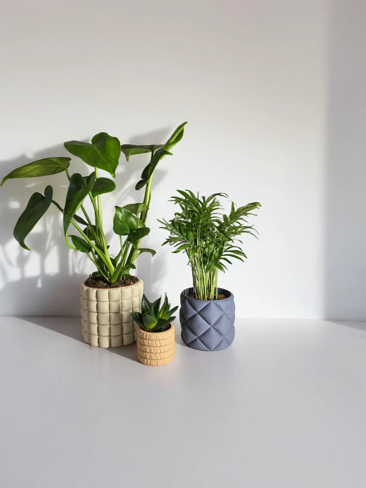 Three 3D printed planters from the Comfort Collection on a white surface. Featuring ribbed sandstone, latte brown, and mist blue designs, each planter holds a different plant, adding greenery to the minimalist setting.